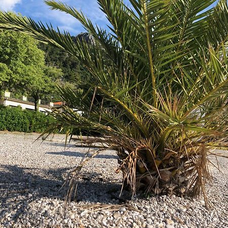 Villa Sabine Apartment Losinj Medveja Kültér fotó